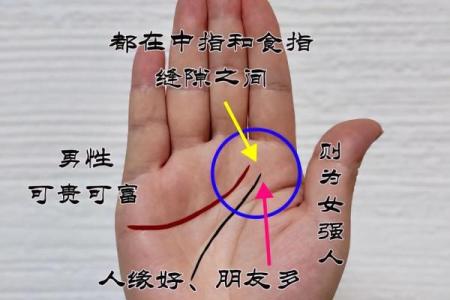 手上几条线的秘密：掌纹解读与命运探秘