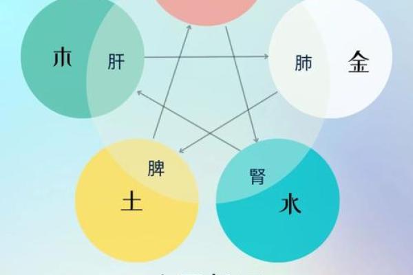 属狗人的命理与五行解析：忠诚与智慧的结合