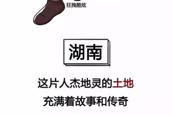 嗜车如命的心理：热爱背后的深层动因与体验