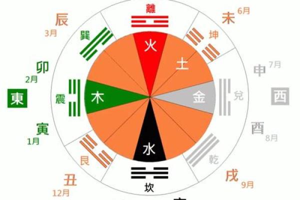 深入探讨：己巳辛未乙未命格的奥秘与人生启示