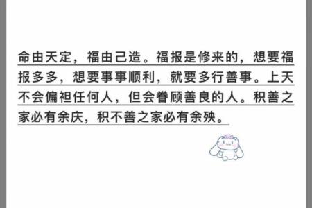 命由己造，运由天定：探寻命理与个体努力的微妙关系