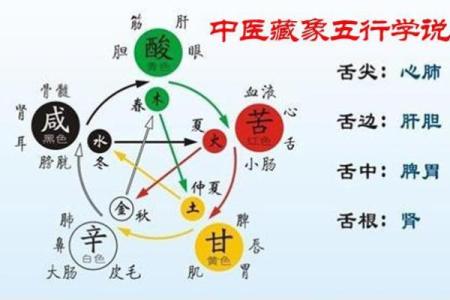 深度解析：性格与木命局的奥秘与影响