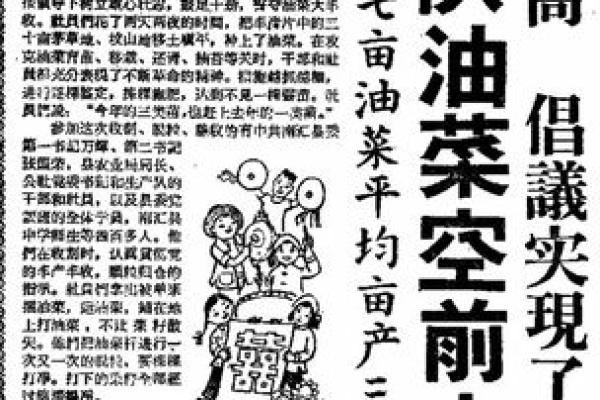 1928年：农业丰收与八字命运的篇章