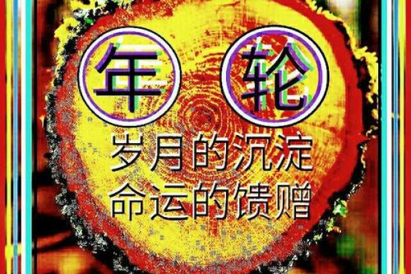 母亲70岁，命运的韵律与岁月的智慧