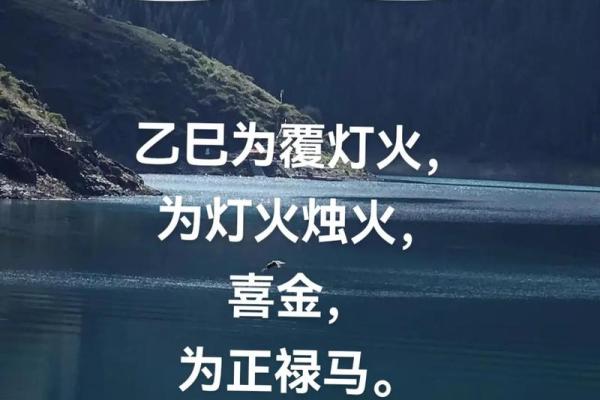 乙巳命男的生肖特点与运势解析：揭开命理的神秘面纱