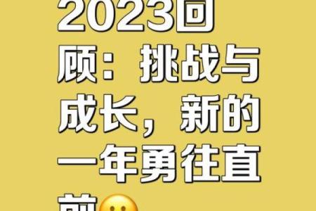 2023年属性揭示：体验命运与自我成长的丰盈之旅