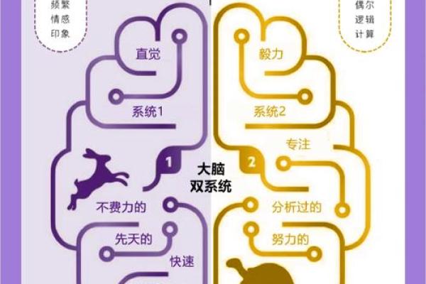 2025年属马人的命运分析与人生建议：揭开命理的神秘面纱