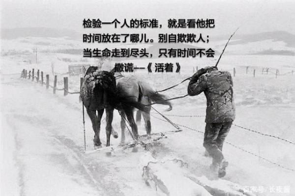 1959年出生的人命运揭秘：追求幸福与成功的道路