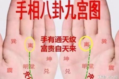 手相解析：杂乱掌纹背后隐藏的命运秘密