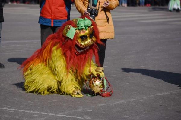 79年正月十七出生的命运，探索个性与未来的光辉之路