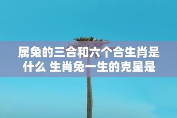 属兔人的命理解析：木命与五行的深度联系