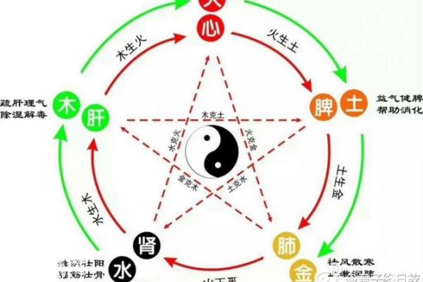 命理学中的五行相生相克：揭示人生背后的秘密