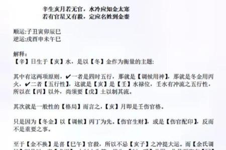 2009年出生之命理解析：探寻人生的命运之路与机遇