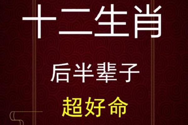 探秘命眼：揭示生肖背后的深意与智慧