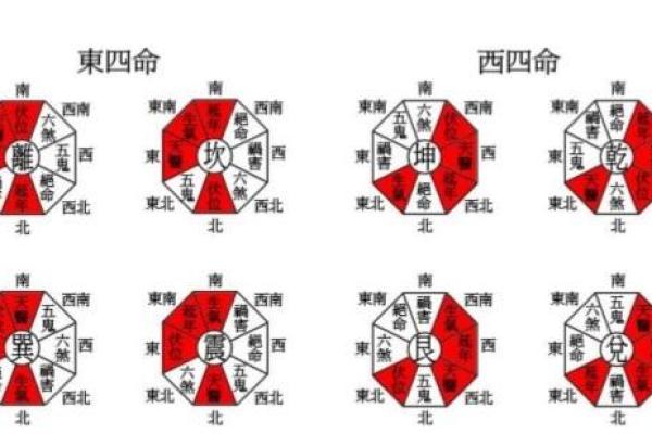 新四命与东四命：探寻命理学中的奇妙差异