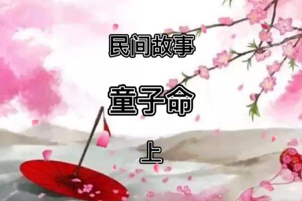 揭开“贵命”背后的故事：它到底意味着什么？