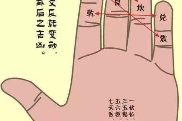 手纹深粗糙，命运暗示：从五行看人生轨迹