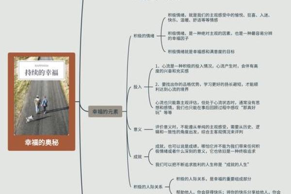 数理与命理：揭示人生奥秘的双生之道