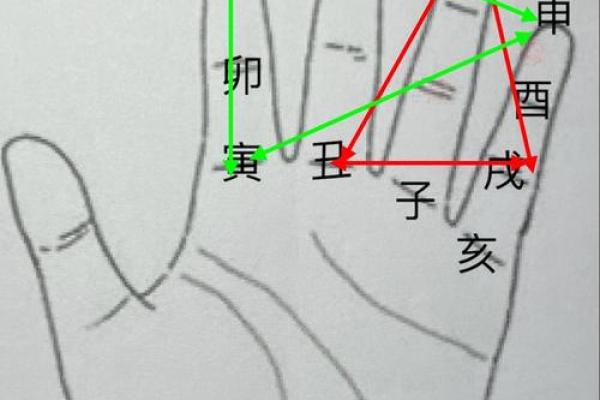 探秘女命地支申：解读女性命理中的智慧与力量