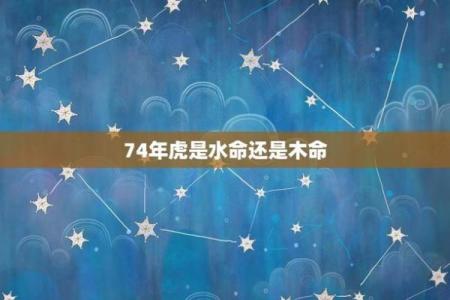 92年属猴的金命与水命解析：深度剖析缺失与补救之道