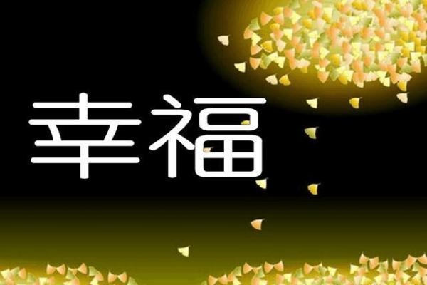 2023年兔宝贝的命运与运势解析，揭示生活的秘密与幸福之道