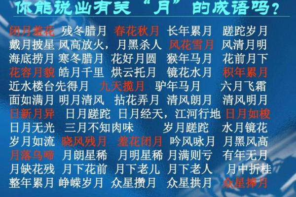 探寻“命”字背后的成语奥秘，解读命运的深层哲理！