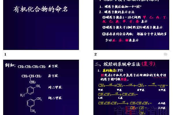 探秘命名学：我命名的寓意与潜能分析