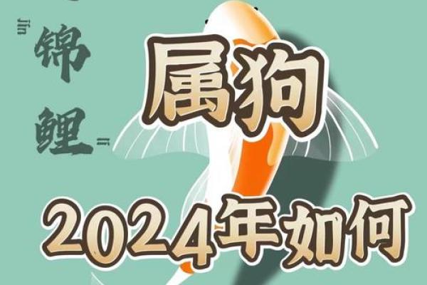 2018年属狗人的命运与性格解析：乐观忠诚的守护者