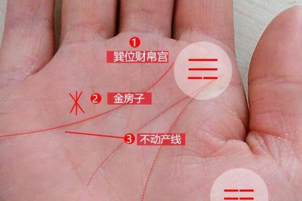 掌纹解读：谁是命中注定的状元？