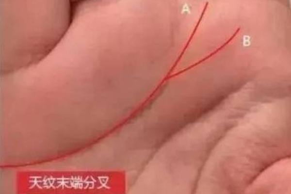 手相揭秘：解析你命格的奥秘与人生运势的指向