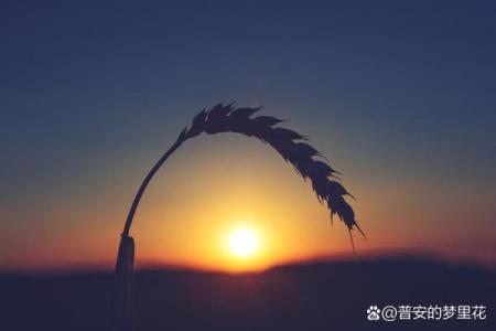 没有什么命什么，生活总有光明与希望的曙光