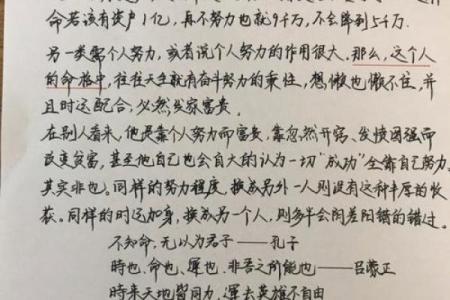 甲戌年乙亥月命理分析：揭示命运的奥秘与人生的方向