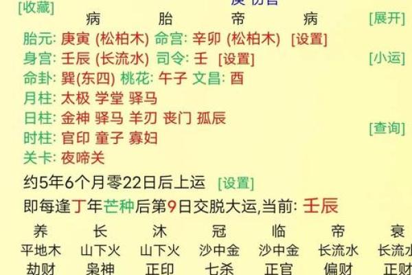 松柏木命与克星：解密命理中的神秘关系