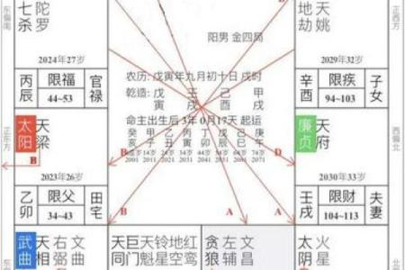 命主巨门身主天梁的命格解析与人生启示