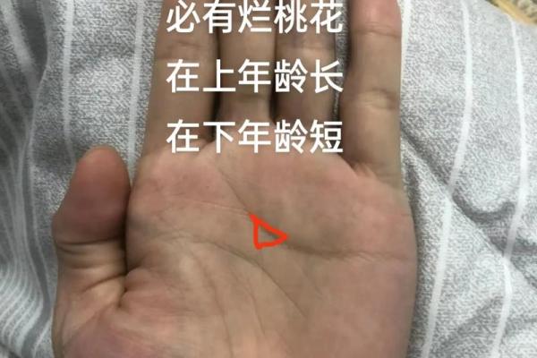 手相解析：掌纹好乱的命运与人生启示