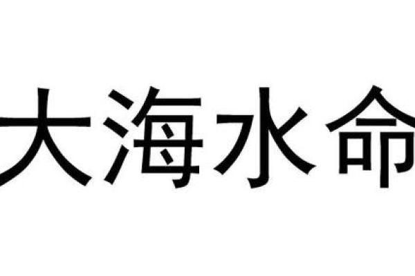 大海水命与钱包选择：如何找到最适合你的财运之钥？