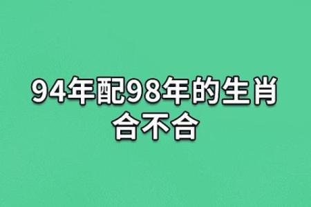 1994属狗女性命运解析：独立坚韧的生活之路