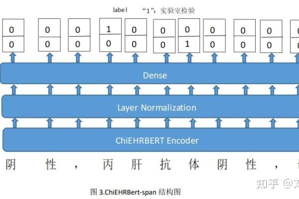 揭开命名的秘密：什么是命名、其背后的意义与影响