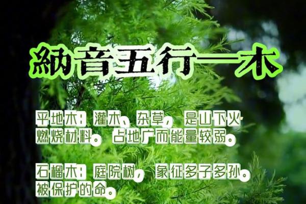 木命人的运势变化：揭秘节气交运的关键时刻