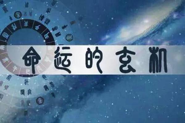 狠心的人是什么命格？探秘内心深处的秘密与命运交织