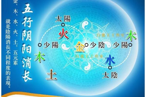 1998年出生的木命人 以树的力量成长与启示