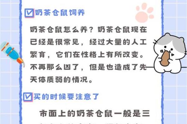 仓鼠属相命运解析：小家伙的吉凶与人生机遇