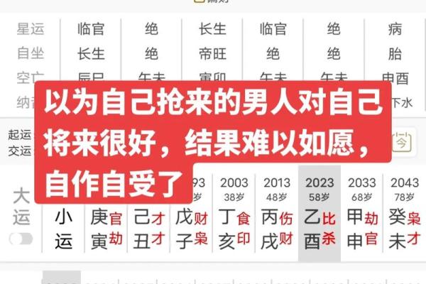 2003年兔子的命理解析：解析兔年的运势与性格特征