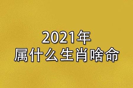 探索牛年生肖的命理密码：揭示属牛之人的人生魅力