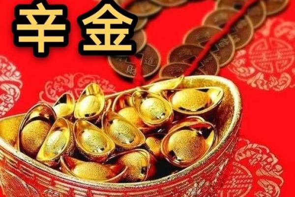 探索命理：多金人的特质与成功之道