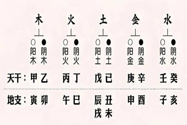 解读2020冬月十四日的八字命理与人生启示