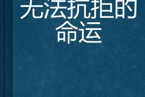 命运的桥梁：如何利用“命”去创造属于自己的“运”