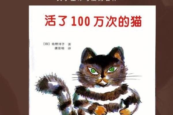 猫的神秘生命：揭开“18条命”的传奇故事