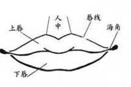 右小腿胎记的神秘象征与命运解读