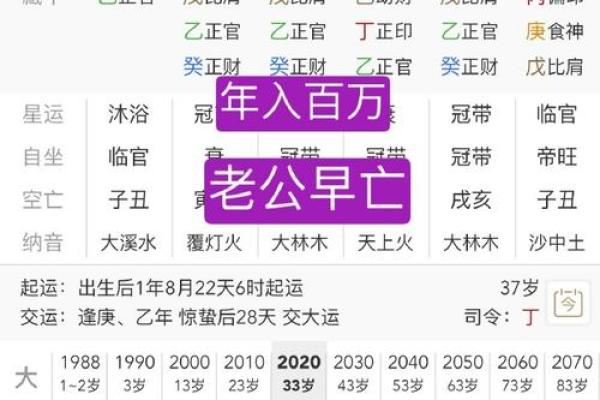 探寻命理学之美：命理分析揭示人生奥秘